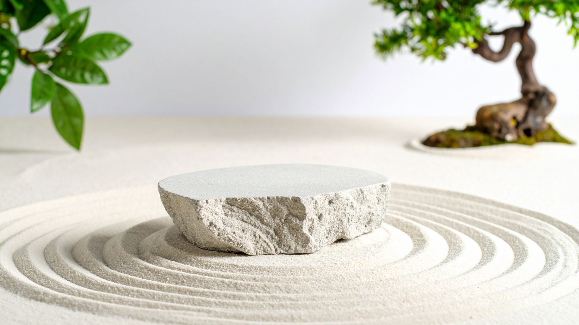 Zen meditation experience in traditional setting