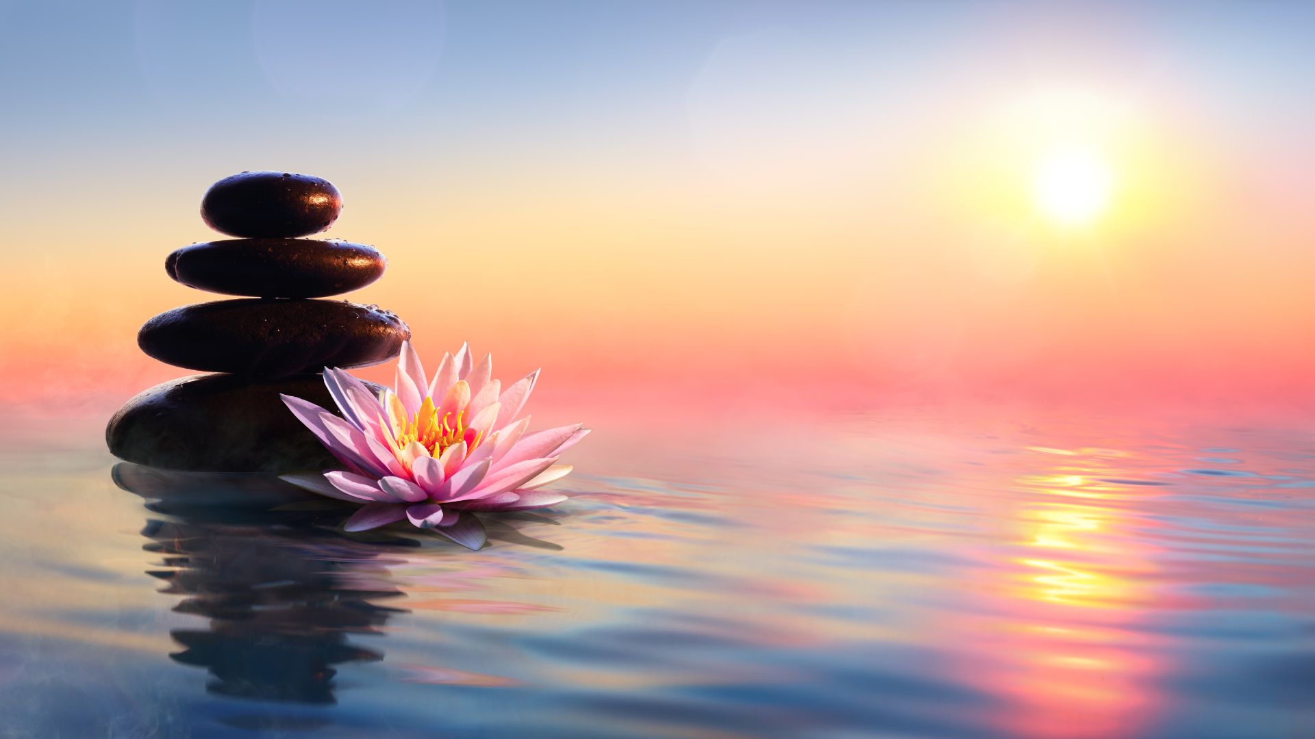 Japanese head spa treatment experience